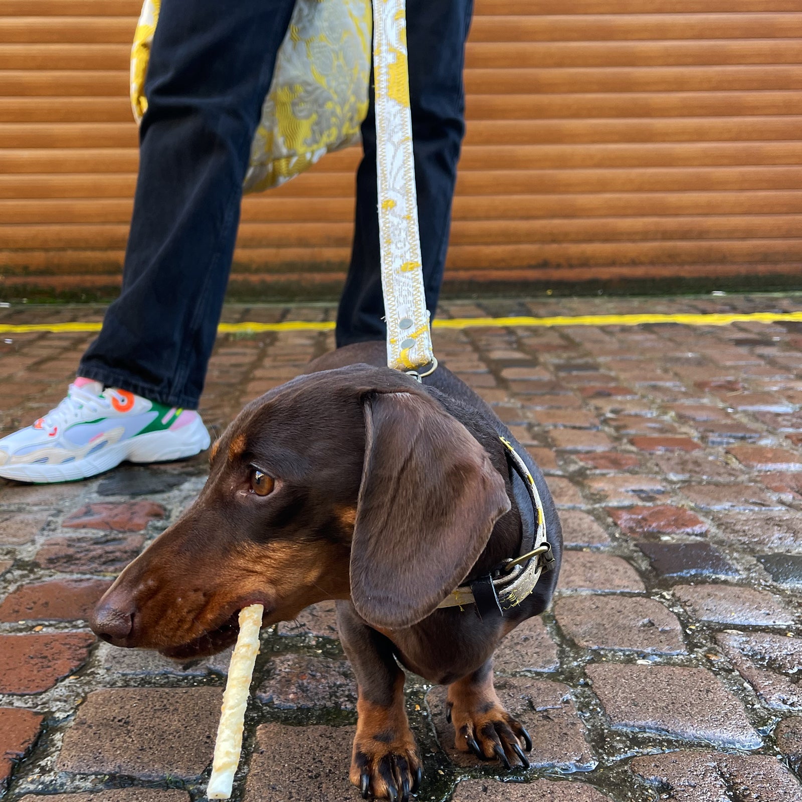 DOG LEASH