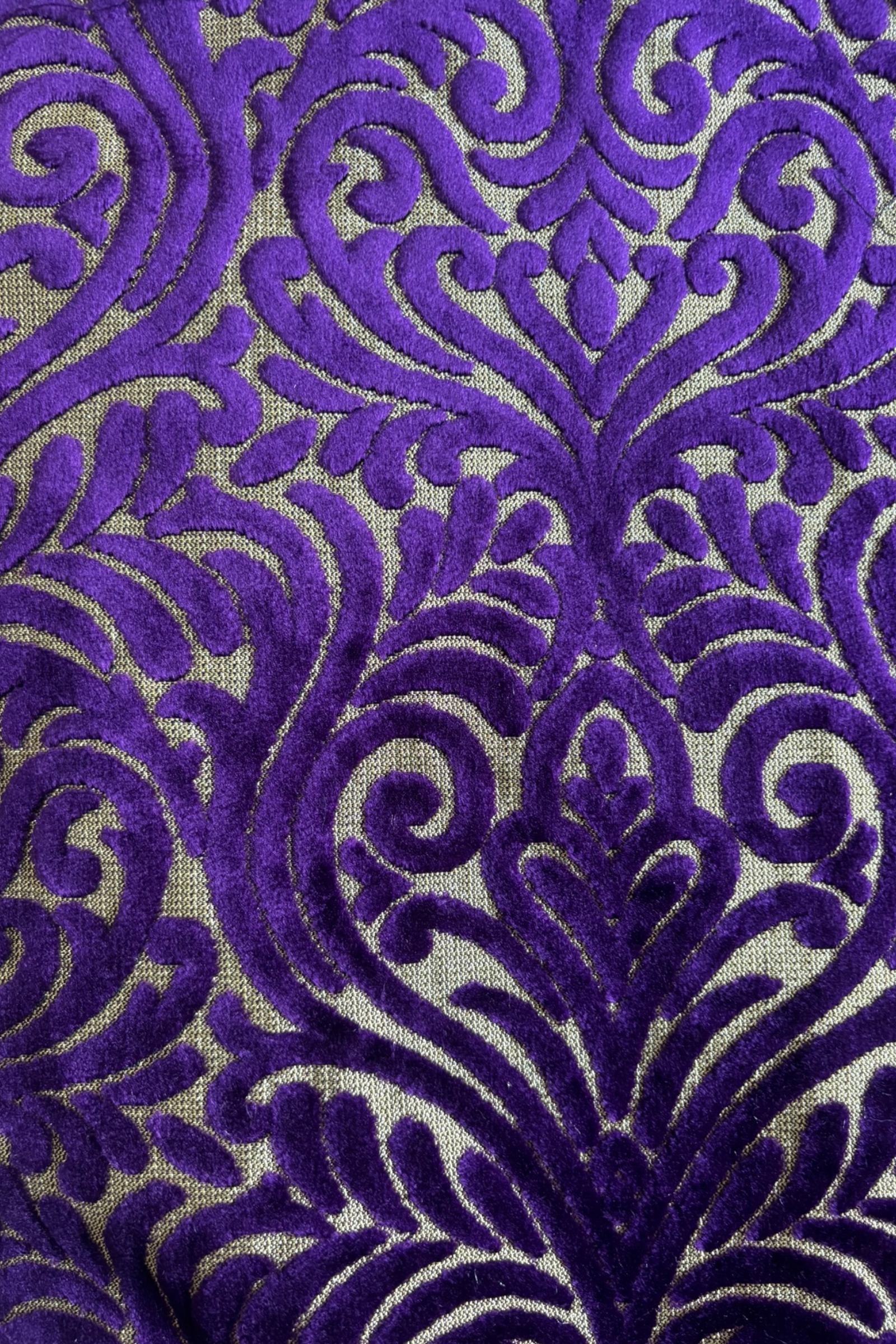 KENZA Jacket, Velvet