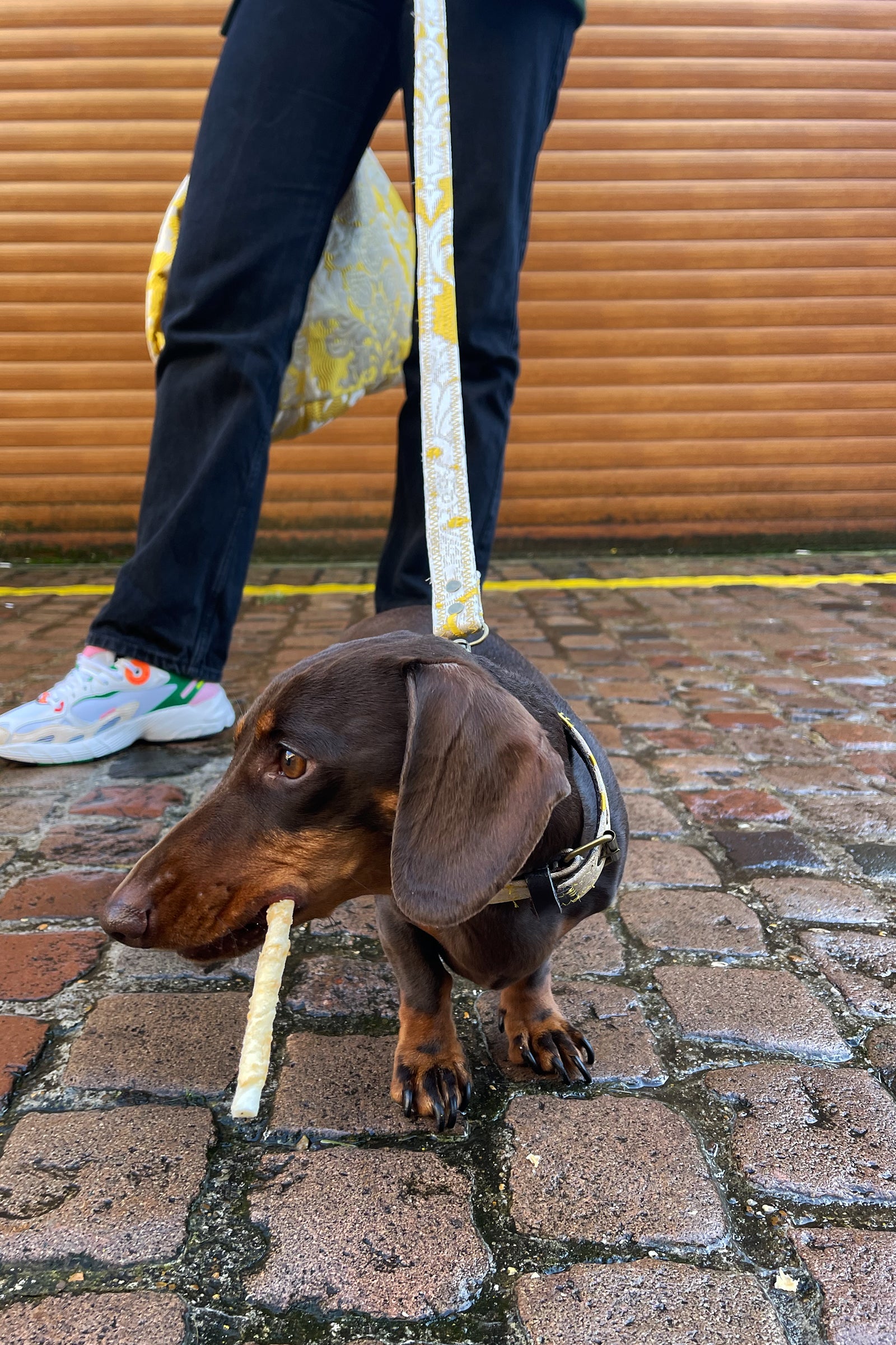 DOG LEASH