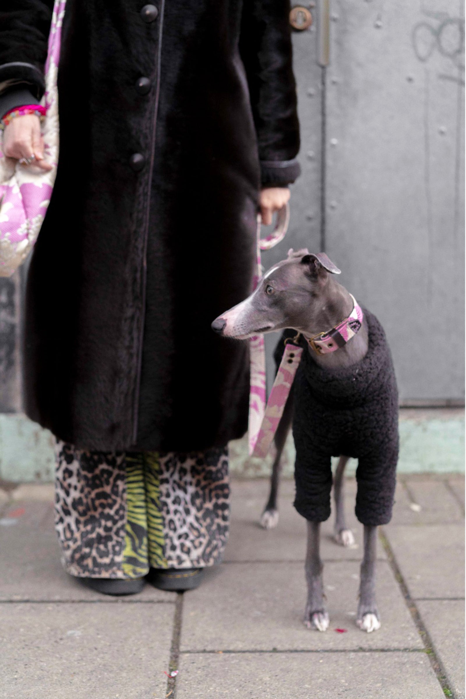 DOG LEASH